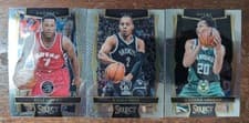 Nene 2016 Panini Select card