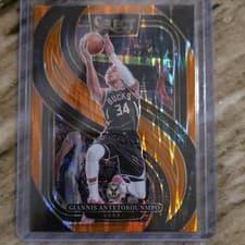 Giannis Antetokounmpo 2024 Panini Select card