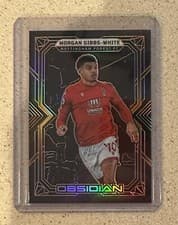 Morgan Gibbs White