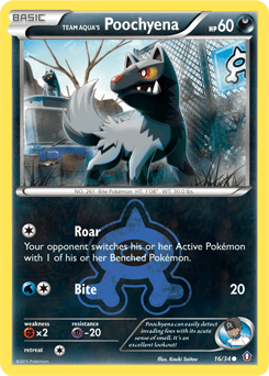 2015 Double Crisis Team Aqua's Poochyena #16