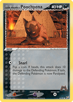 Team Magma's Poochyena Team Magma vs Team Aqua card
