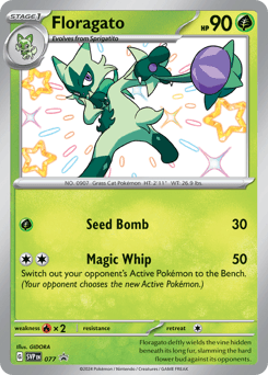 Floragato Scarlet & Violet Black Star Promos card