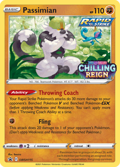 Passimian SWSH Black Star Promos card