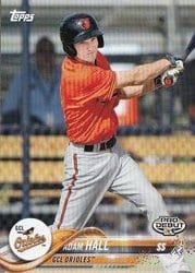 2018 Topps Pro Debut Base Set Adam Hall #174 card