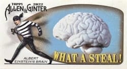 2022 Topps Allen & Ginter Mini What a Steal! Albert Einstein's Brain #WAS-3 card