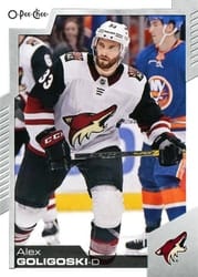 2020-21 O-Pee-Chee Base Set Alex Goligoski #229 card