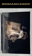 2024 Topps Allen & Ginter X-Ray’d American Bullfrog #XR-10 card