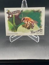 2024 Topps Allen & Ginter Buzzin’ Andrenidae #BUZ-7 card