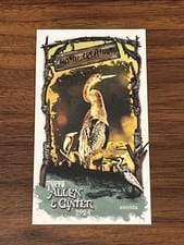 2024 Topps Allen & Ginter Swamp Creatures Mini Anhinga #SC-10 card