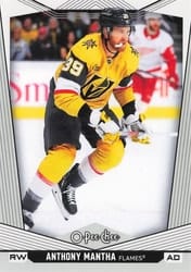 2024-25 O-Pee-Chee Base Set Anthony Mantha #210 card