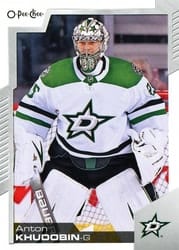 2020-21 O-Pee-Chee Base Set Anton Khudobin #61 card