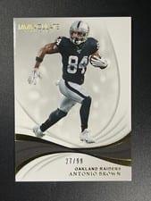 2019 Panini Immaculate Collection Antonio Brown #73 card