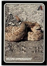 2024 Topps Heritage 1975 Topps Zoo's Who Stick-Ons Arizona Diamondbacks #75Z-8 card