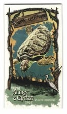 2024 Topps Allen & Ginter Swamp Creatures Mini Atlantic Loggerhead #SC-9 card