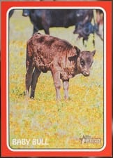 2024 Topps Heritage 1975 Topps Zoo's Who Stick-Ons Baby Bull #75Z-19 card