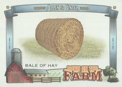 2020 Topps Allen & Ginter Down on the Farm Bale of Hay #DF-B card