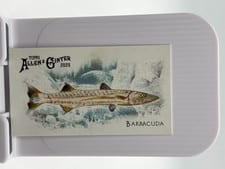 2025 Topps Allen & Ginter 50 Fish From Global Waters (Minis) Barracuda #FGW-1 card