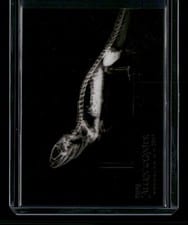 2024 Topps Allen & Ginter X-Ray’d Bearded Dragon #XR-6 card