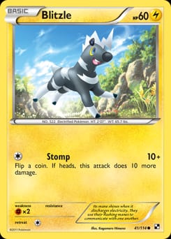 Black & White Blitzle #41 card