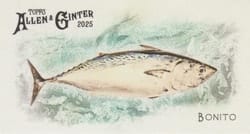 2025 Topps Allen & Ginter 50 Fish From Global Waters (Minis) Bonito #FGW-44 card