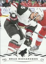 2018-19 Upper Deck Base Set Brad Richardson #258 card