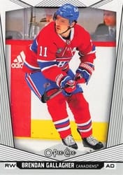 2024-25 O-Pee-Chee Base Set Brendan Gallagher #227 card