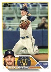 2023 Topps Base Set Brian Anderson #480 card