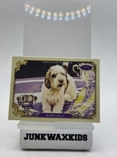2024 Topps Allen & Ginter Stars of the Show The Westminster Kennel Club Buddy Holly #SOS-10 card