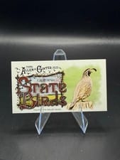 2025 Topps Allen & Ginter State Birds (Minis) California Valley Quail - California #SB-5 card