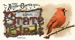 2025 Topps Allen & Ginter State Birds (Minis) Cardinal - Illinois #SB-13 card