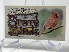 2025 Topps Allen & Ginter State Birds (Minis) Cardinal - Ohio #SB-35 card