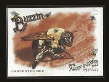 2024 Topps Allen & Ginter Buzzin’ Carpenter Bee #BUZ-4 card