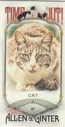 2022 Topps Allen & Ginter Mini Time Out! Cat #TO-6 card