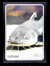 2024 Topps Heritage 1975 Topps Zoo's Who Stick-Ons Catfish #75Z-12 card