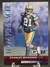 2024 Panini Encore Team Pinnacle Charles Woodson/Troy Polamalu #19 card
