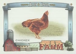 2020 Topps Allen & Ginter Down on the Farm Chicken #DF-CH card