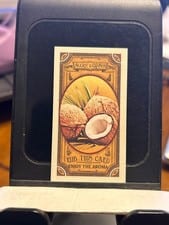 2024 Topps Allen & Ginter Got the Itch Mini Coconut #GTI-10 card