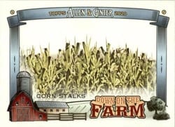 2020 Topps Allen & Ginter Down on the Farm Corn Stalks #DF-CS card