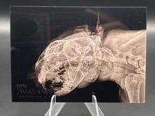 2024 Topps Allen & Ginter X-Ray’d Cougar #XR-13 card