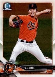2018 Bowman Chrome Prospects D.L. Hall #BCP107 card