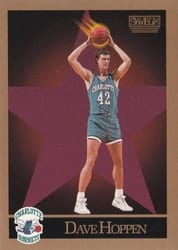 1990-91 SkyBox Base Set Dave Hoppen #31 card
