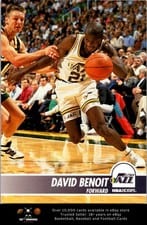 1994-95 Hoops Base Set David Benoit #207 card