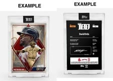 2023 Topps Project 100 Base Set David Ortiz #50 card