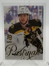 2025-26 Flair Flash + Flair (Flair) David Pastrnak #FLAIR-3 card