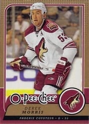 2008-09 O-Pee-Chee Base Set Derek Morris #5 card