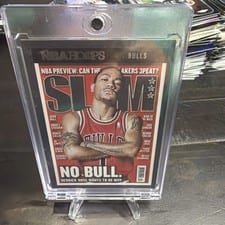2021-22 Hoops Slam Derrick Rose #143 card