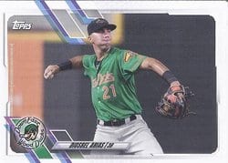 2021 Topps Pro Debut Base Set Diosbel Arias #PD-24 card
