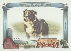 2020 Topps Allen & Ginter Down on the Farm Dog #DF-D card