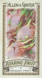 2022 Topps Allen & Ginter Mini Bearing Fruit Dragon Fruit #BF-14 card