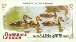 2022 Topps Allen & Ginter Mini Baseball Lexicon Ducks On The Pond #BL-2 card